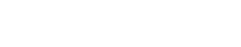 Livegrade Studio Logo